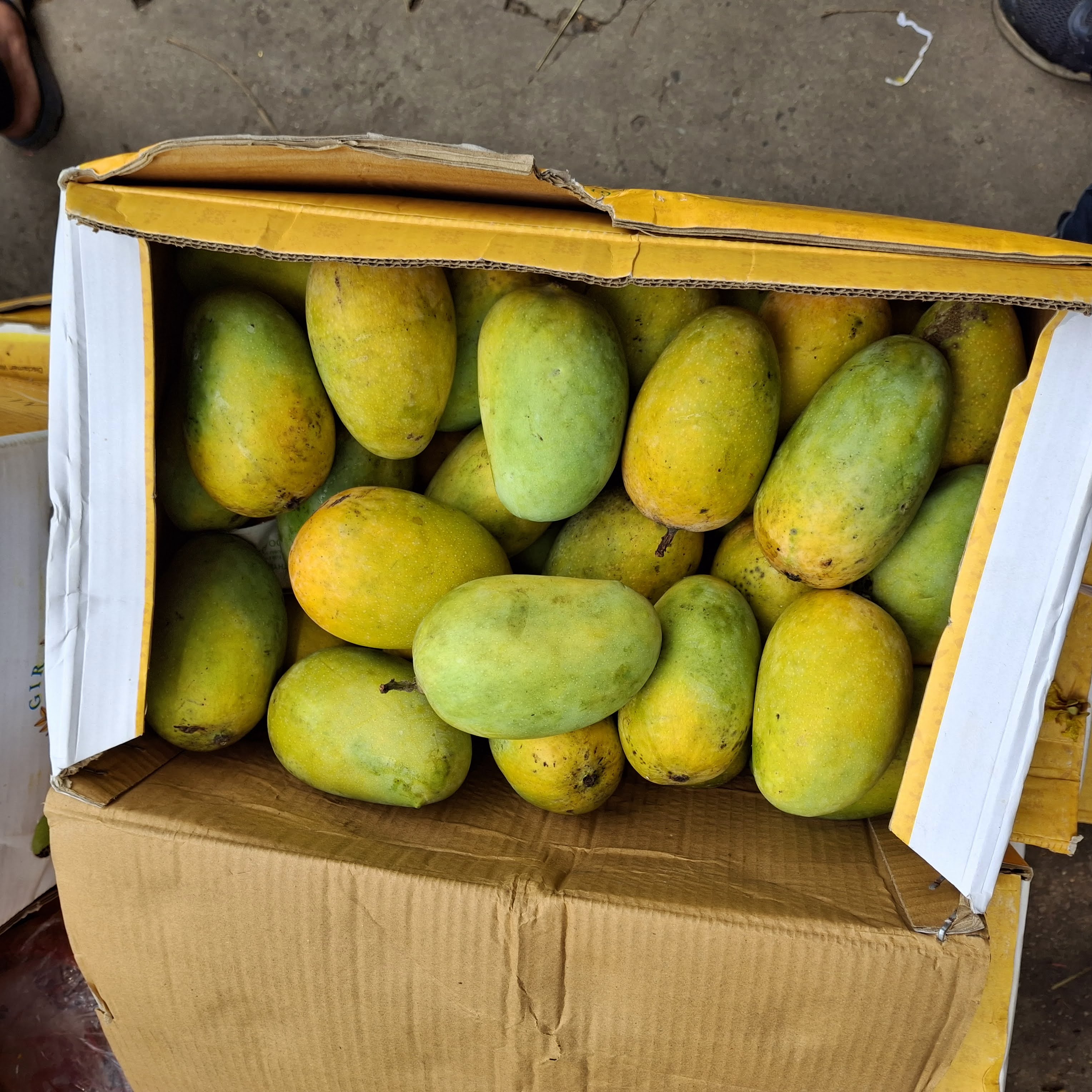 A colorful assortment of fruits sourced from across India, like apples and oranges.